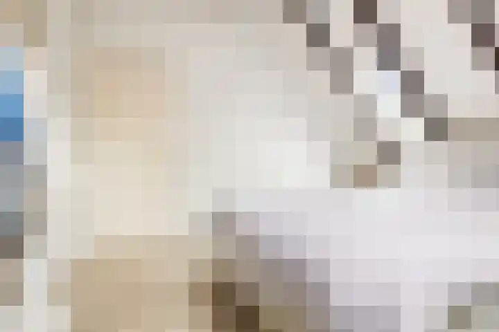Helper Oostsingel 67 Groningen thumbnail 30