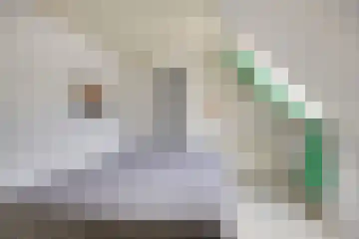 Helper Oostsingel 75 Groningen thumbnail 16