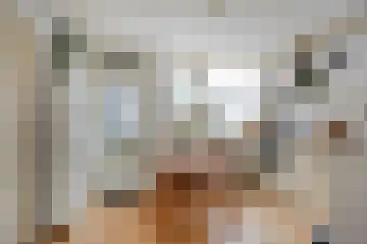 Helper Oostsingel 75 Groningen thumbnail 6