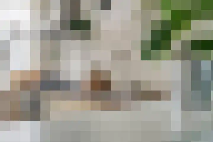 Helper Oostsingel 75 Groningen thumbnail 8
