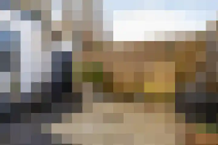 Helper Westsingel 16 4 Groningen thumbnail 16