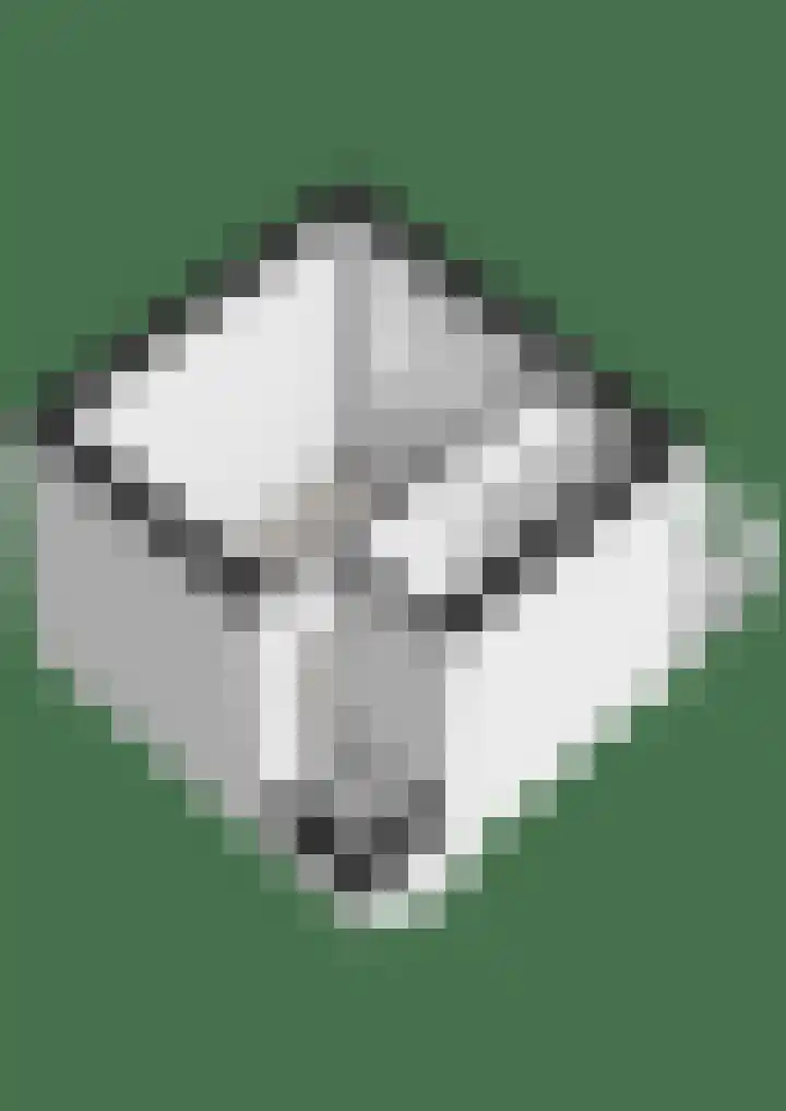 Helper Westsingel 16 4 Groningen thumbnail 32
