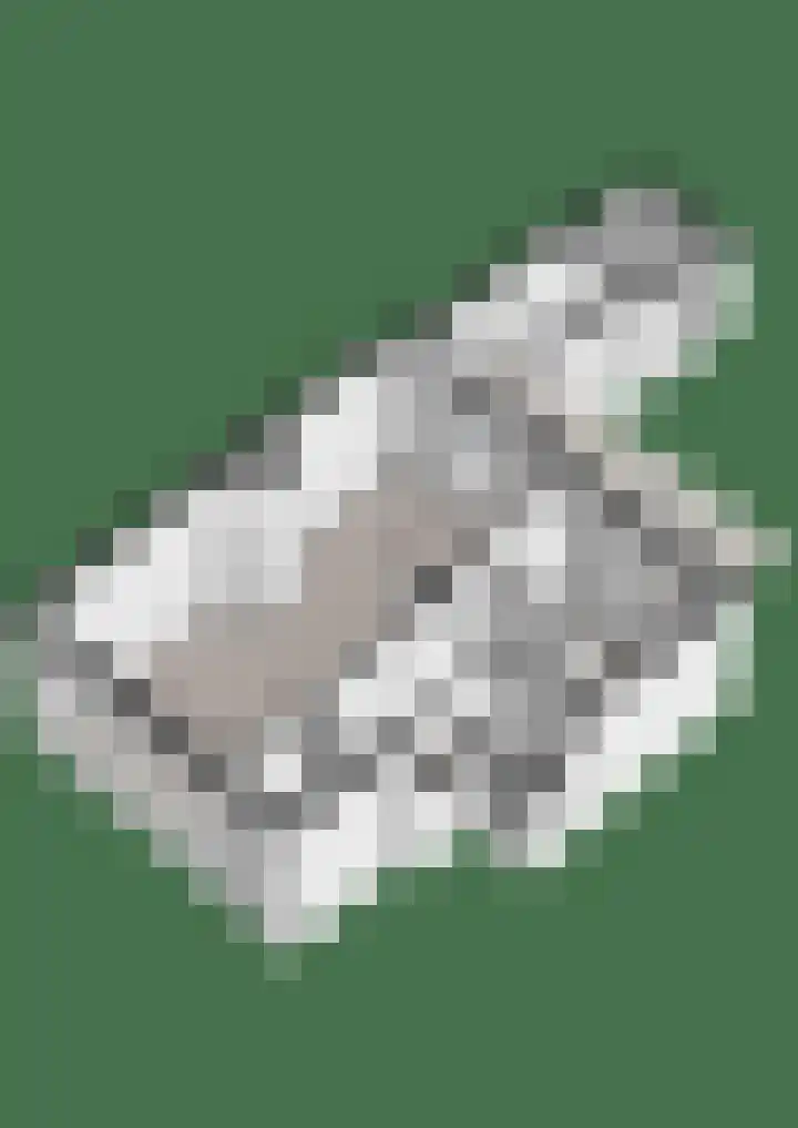 Helper Westsingel 16 4 Groningen thumbnail 35