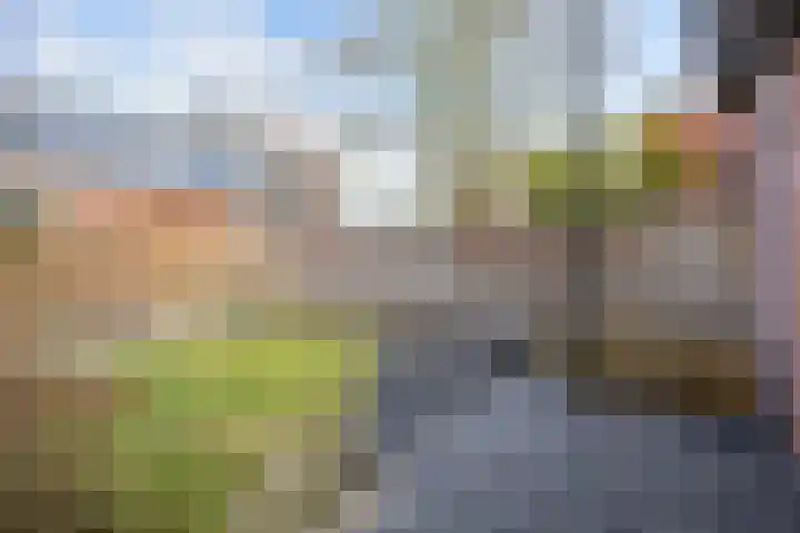 Helper Westsingel 27 Groningen thumbnail 26