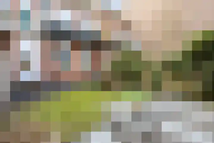 Helper Westsingel 27 Groningen thumbnail 29