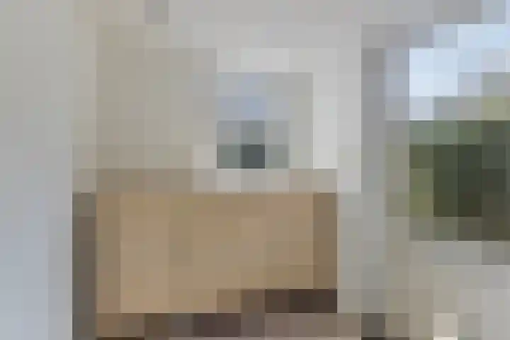 Helper Westsingel 29 Groningen thumbnail 13