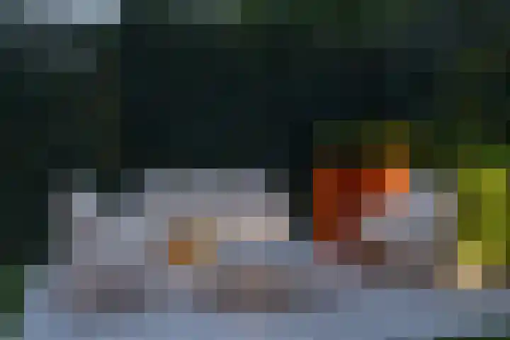 Helper Westsingel 45 Groningen thumbnail 39