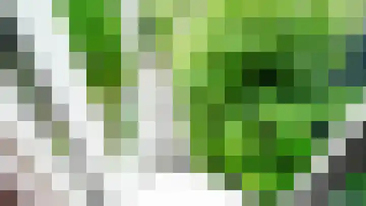 Helper Westsingel 45 Groningen thumbnail 40