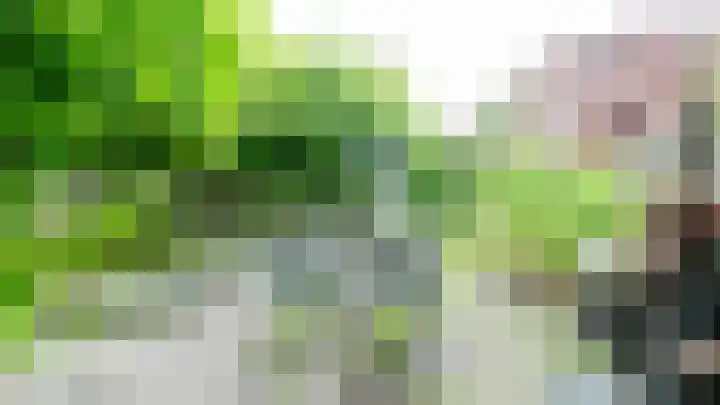 Helper Westsingel 45 Groningen thumbnail 42
