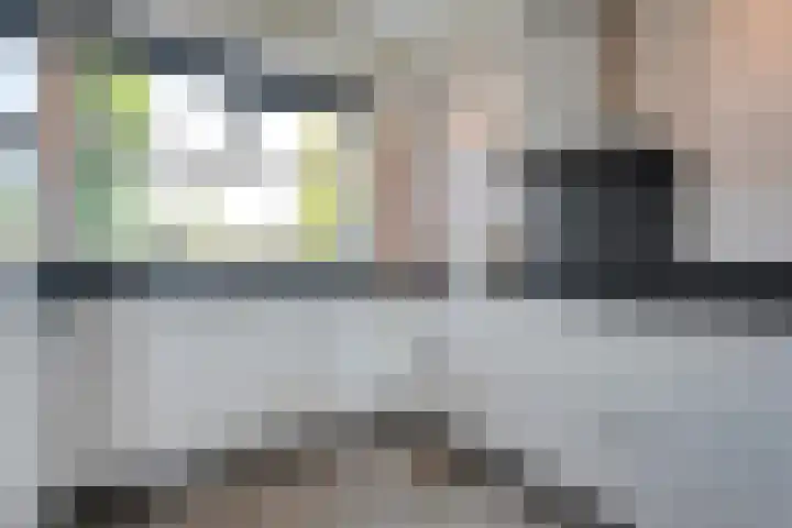 Helper Westsingel 45 Groningen thumbnail 50