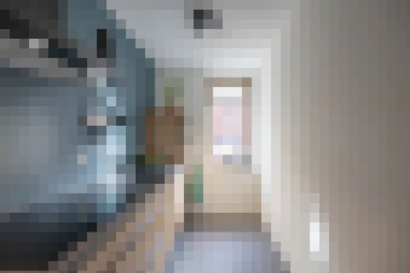 Helper Westsingel 49 1 Groningen thumbnail 15