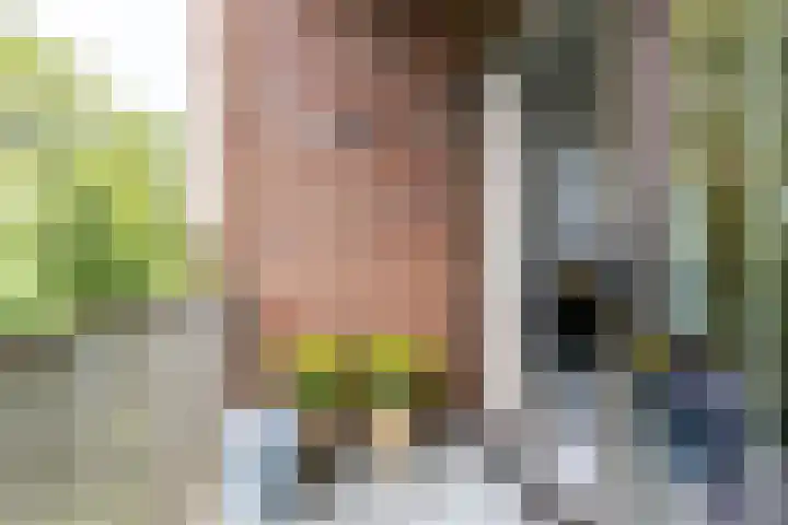 Helper Westsingel 49 24 Groningen thumbnail 13