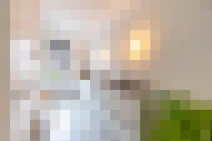 Helper Westsingel 49 24 Groningen thumbnail 19