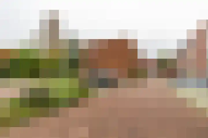 Helper Westsingel 49 24 Groningen thumbnail 32