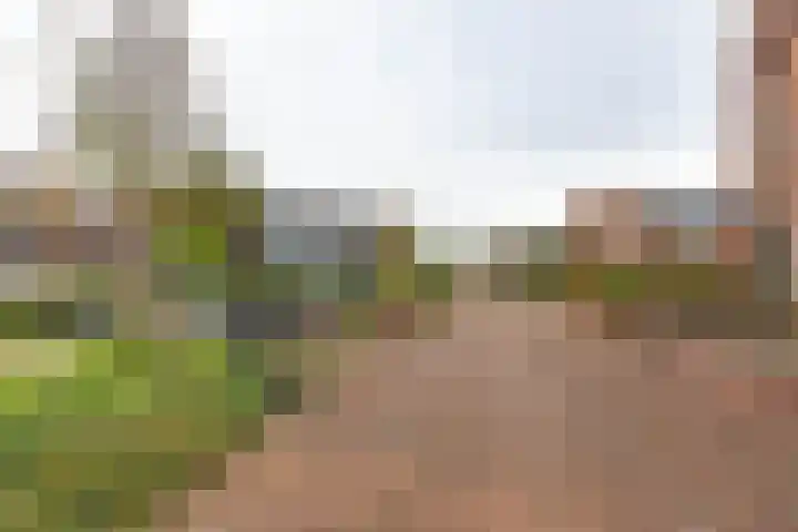 Helper Westsingel 49 24 Groningen thumbnail 33