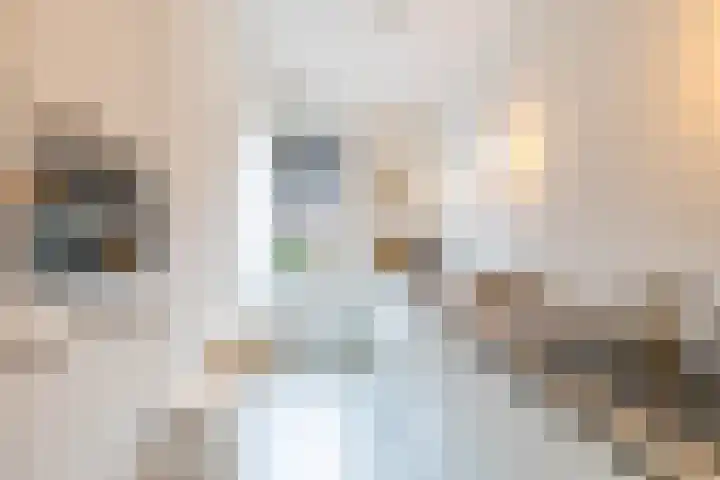 Helper Westsingel 49 24 Groningen thumbnail 4