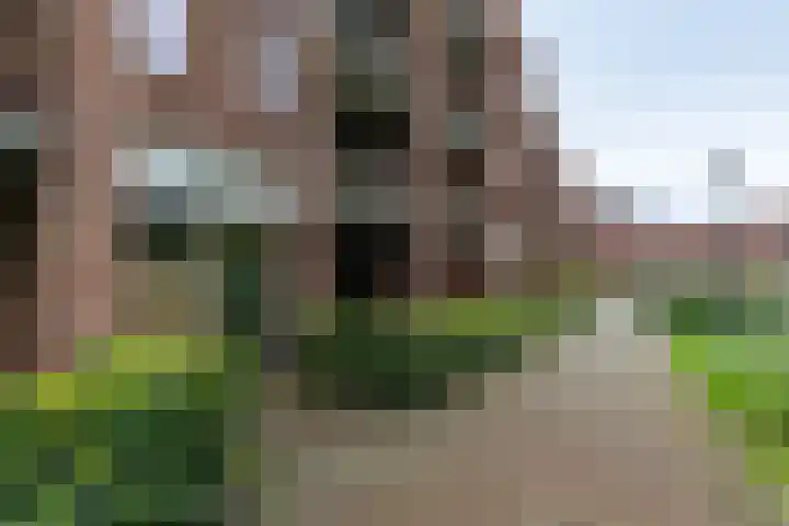 Helper Westsingel 49 24 Groningen thumbnail 6