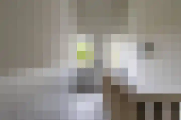 Helper Westsingel 49 24 Groningen thumbnail 7