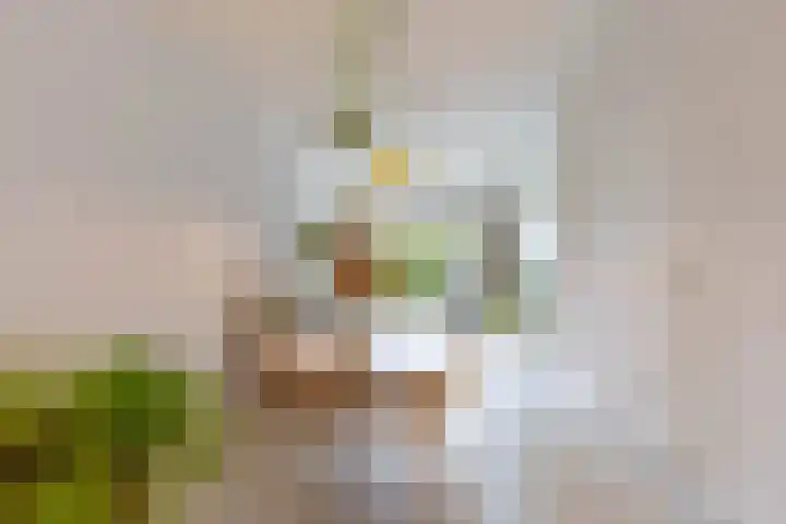 Helper Westsingel 49 24 Groningen thumbnail 9