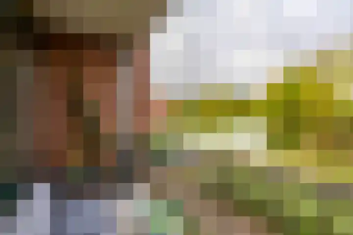 Helper Westsingel 49 8 Groningen thumbnail 12