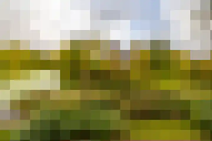 Helper Westsingel 49 8 Groningen thumbnail 15