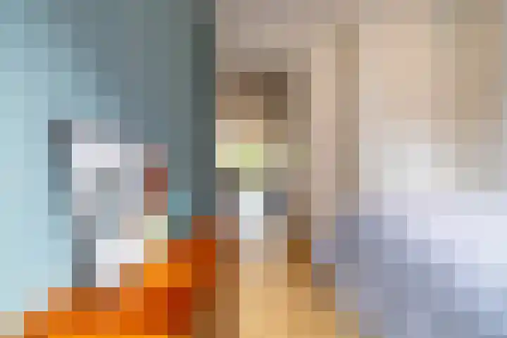Helper Westsingel 49 8 Groningen thumbnail 22