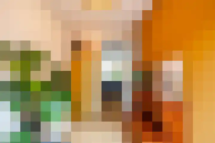 Helper Westsingel 49 8 Groningen thumbnail 24