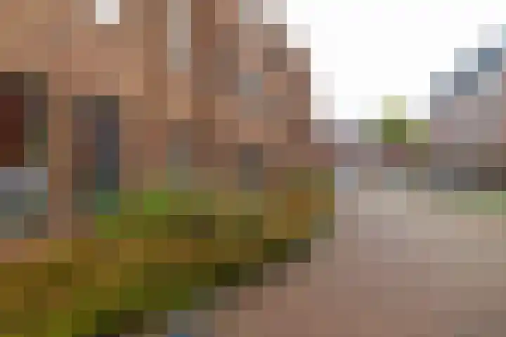Helper Westsingel 49 8 Groningen thumbnail 29