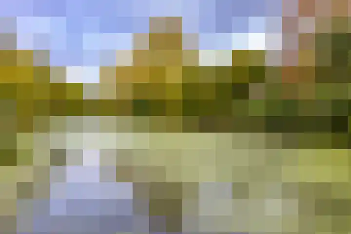 Helper Westsingel 49 8 Groningen thumbnail 32