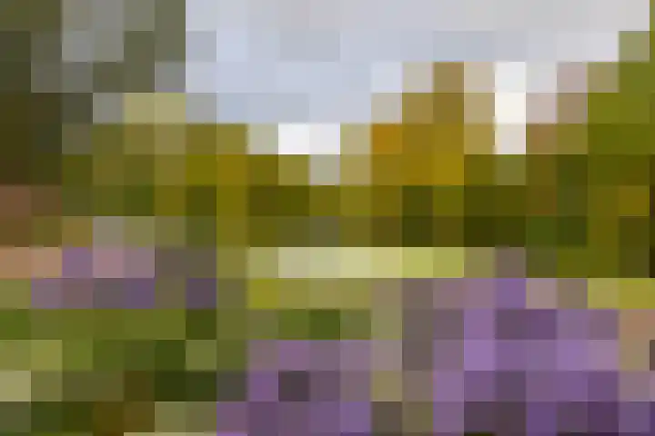Helper Westsingel 49 8 Groningen thumbnail 33