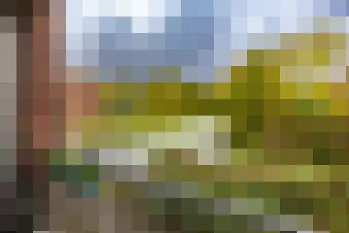 Helper Westsingel 49 8 Groningen thumbnail 4