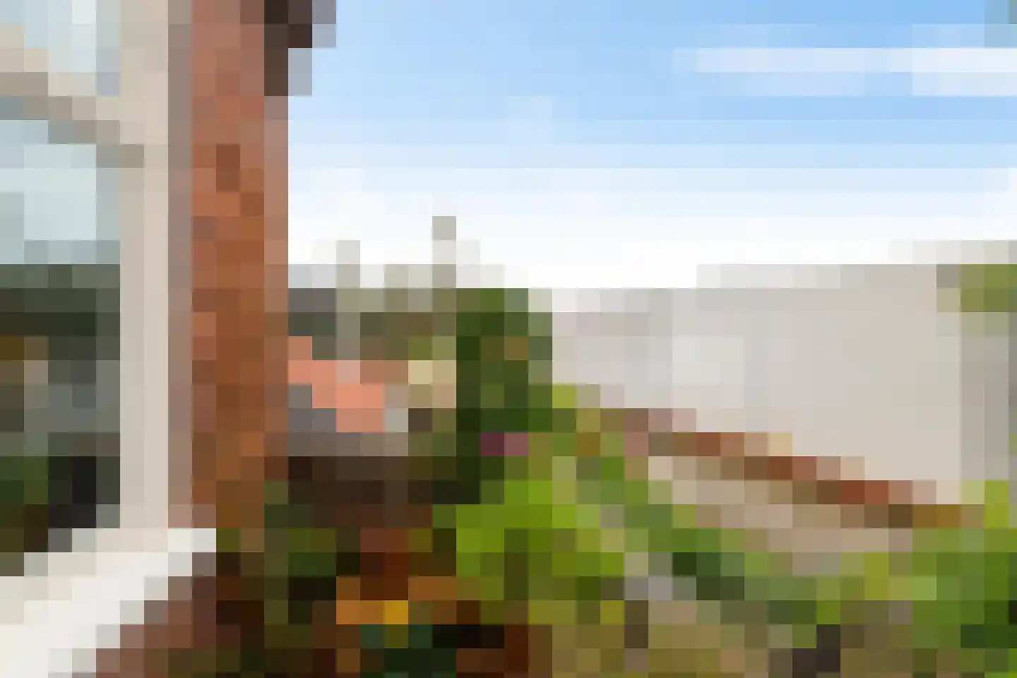 Helper Westsingel 56 a Groningen thumbnail 14