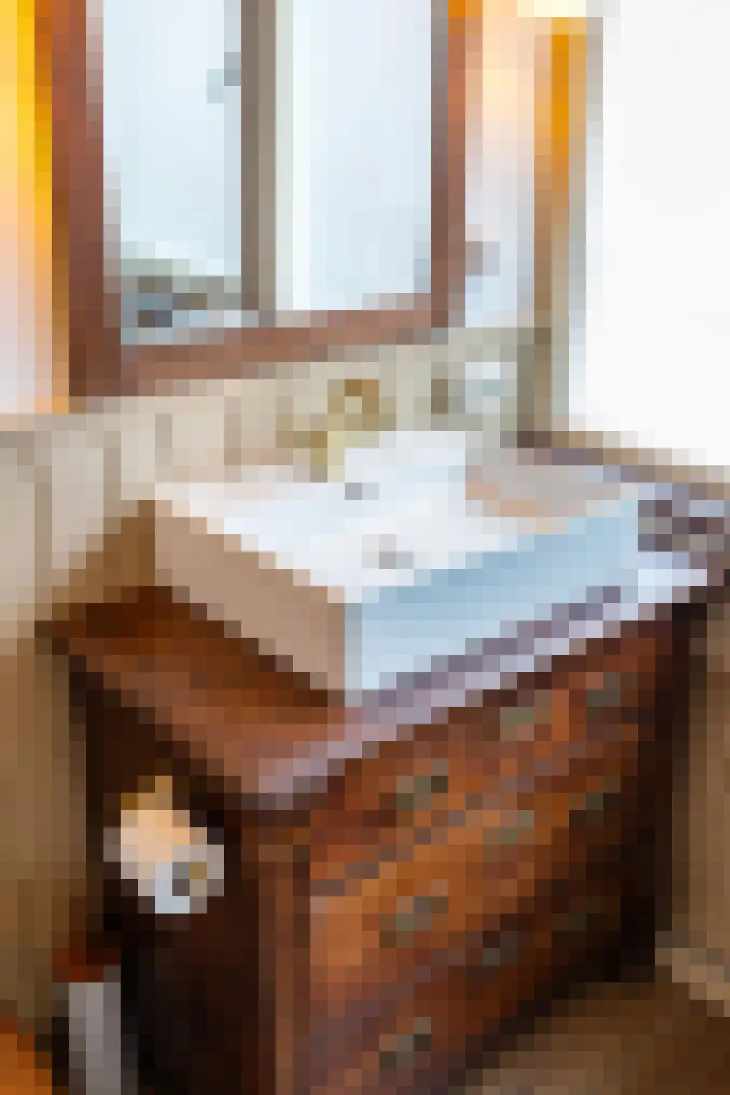 Helper Westsingel 56 a Groningen thumbnail 20