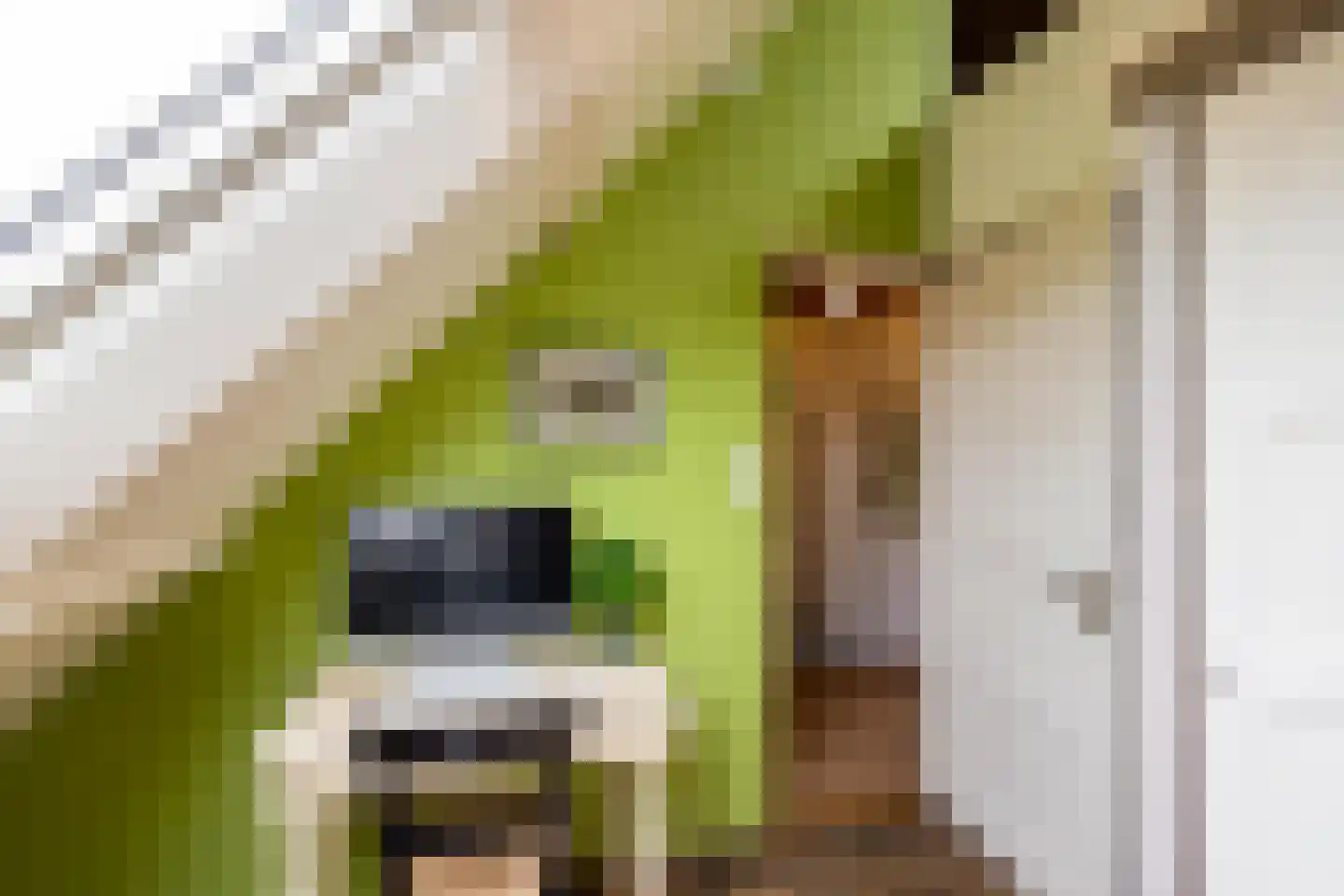 Helper Westsingel 56 a Groningen thumbnail 23