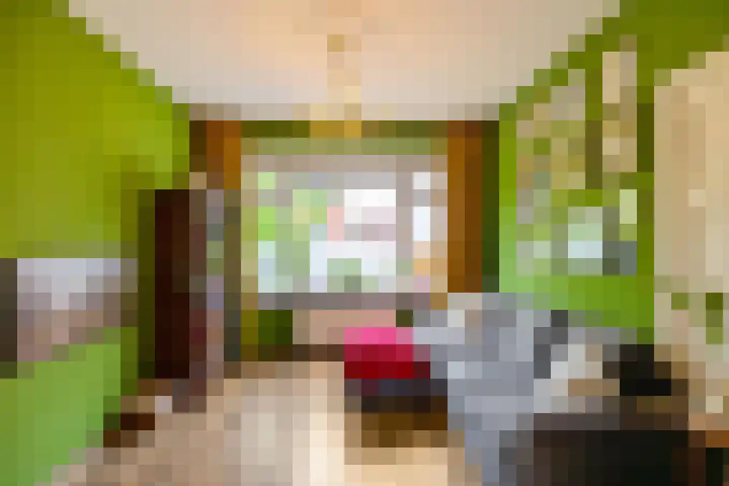 Helper Westsingel 56 a Groningen thumbnail 8