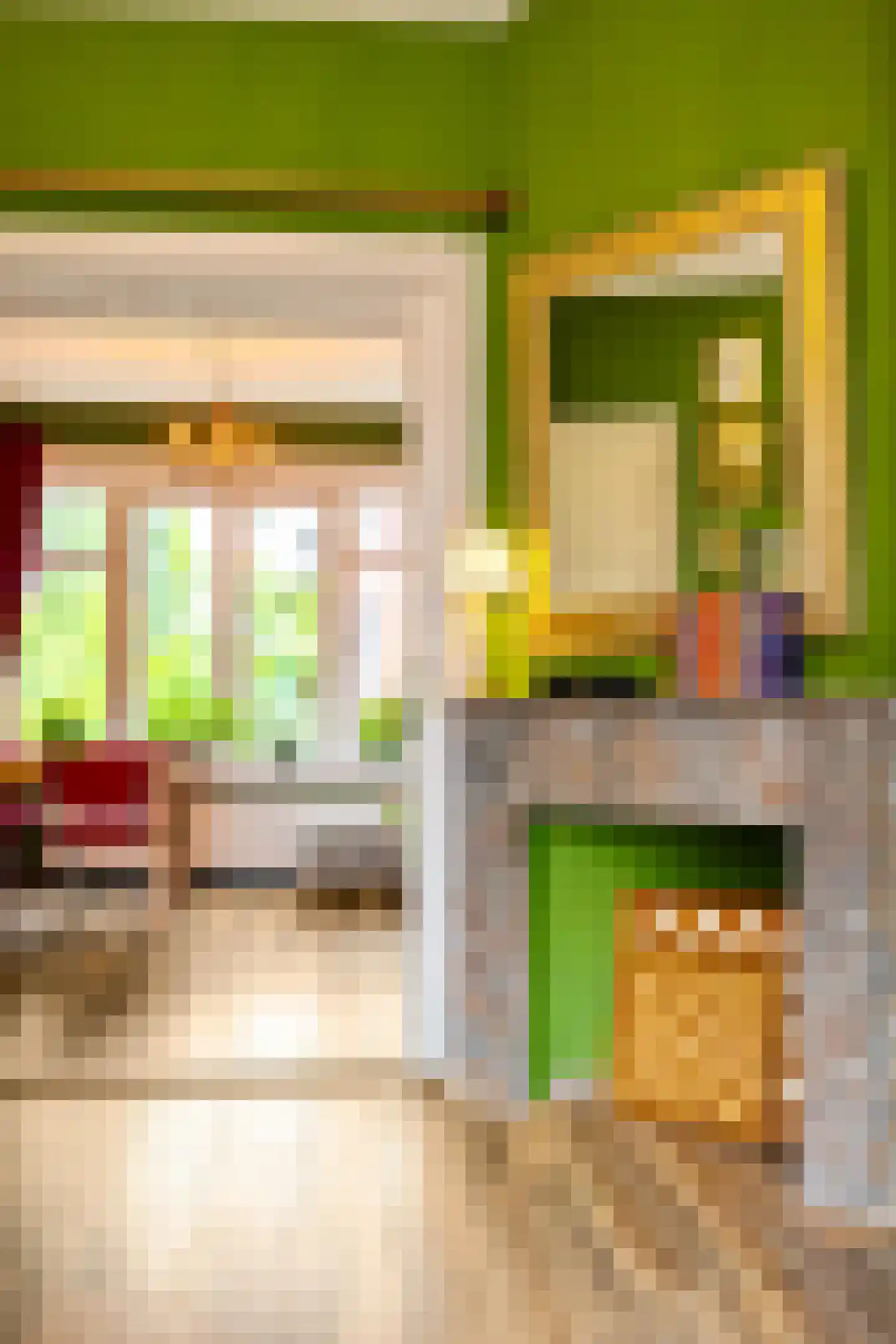 Helper Westsingel 56 a Groningen thumbnail 9