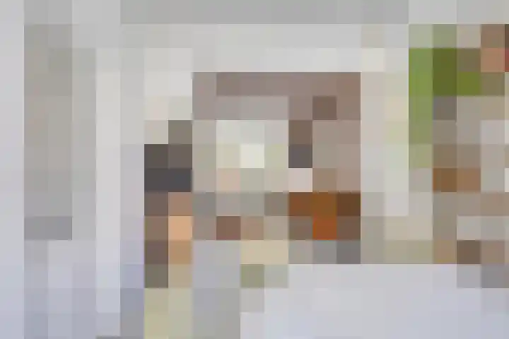 Helper Westsingel 6 Groningen thumbnail 10