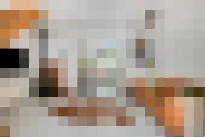 Helper Westsingel 6 Groningen thumbnail 11