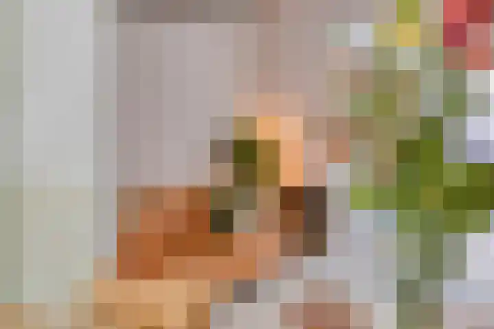 Helper Westsingel 6 Groningen thumbnail 12