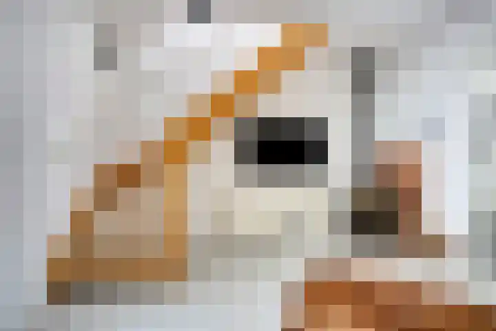 Helper Westsingel 6 Groningen thumbnail 16