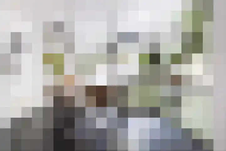 Helper Westsingel 6 Groningen thumbnail 20