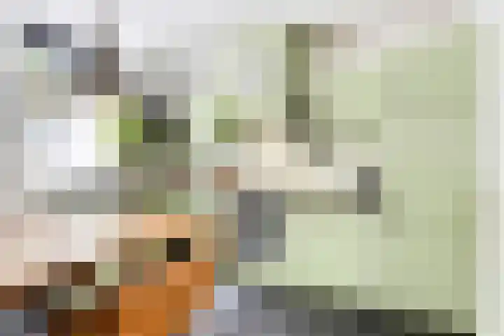 Helper Westsingel 6 Groningen thumbnail 21