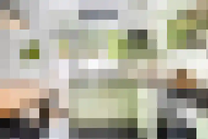 Helper Westsingel 6 Groningen thumbnail 24