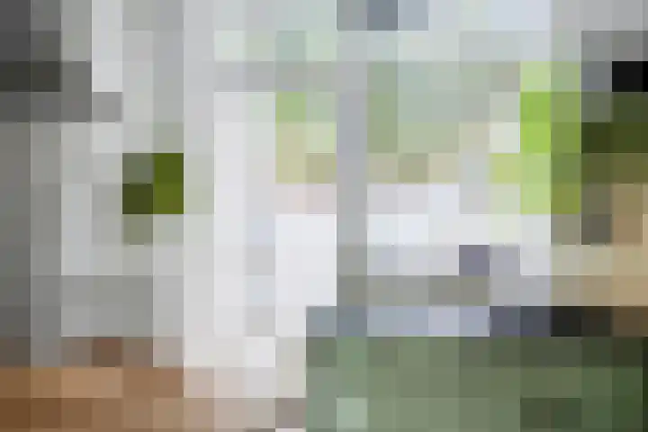Helper Westsingel 6 Groningen thumbnail 26