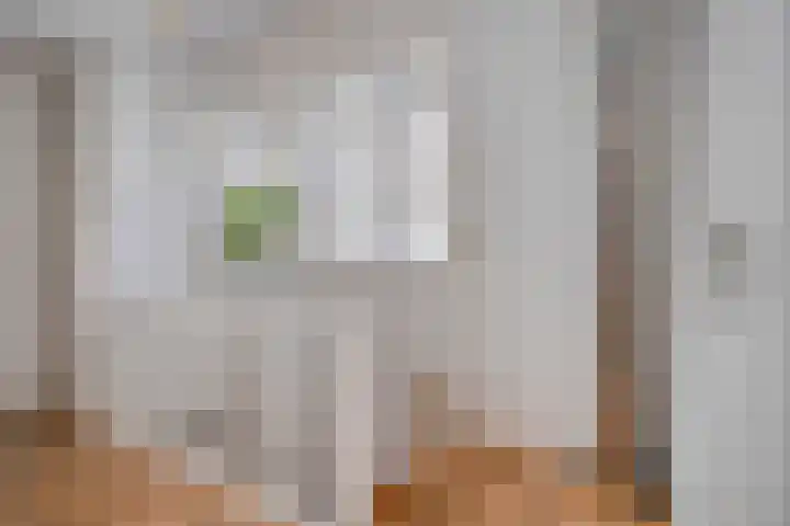 Helper Westsingel 6 Groningen thumbnail 29