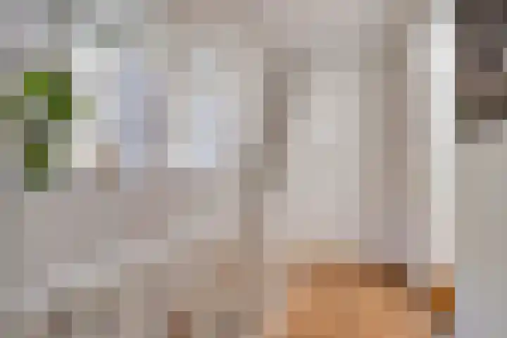 Helper Westsingel 6 Groningen thumbnail 30