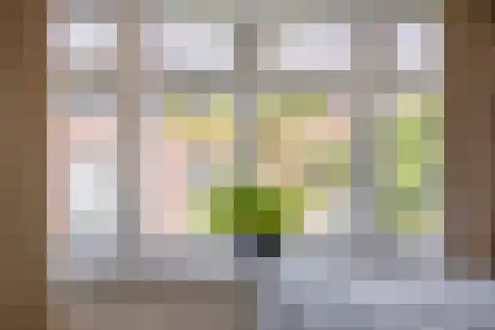 Helper Westsingel 6 Groningen thumbnail 33