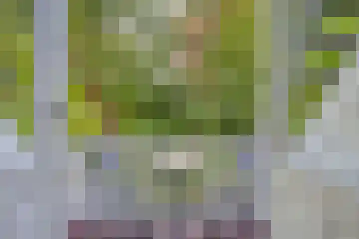 Helper Westsingel 6 Groningen thumbnail 40