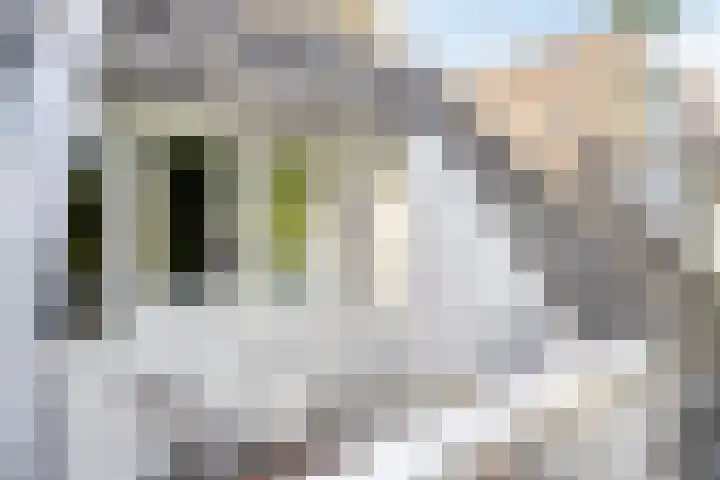 Helper Westsingel 6 Groningen thumbnail 43