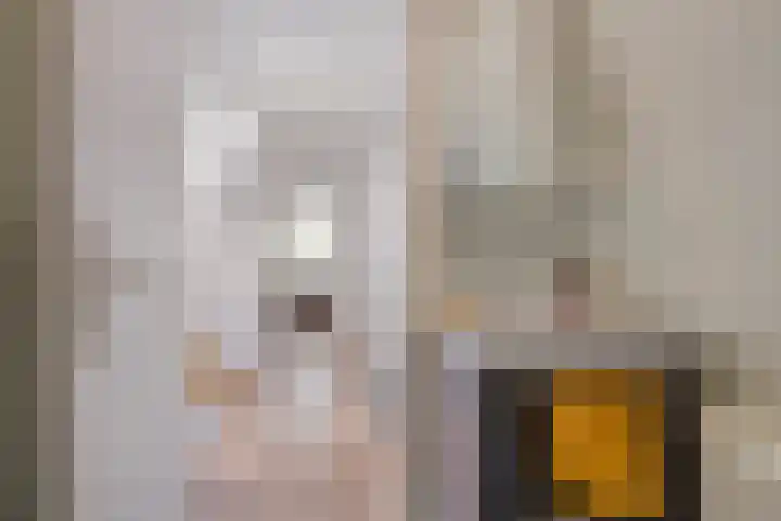 Helper Westsingel 6 Groningen thumbnail 46